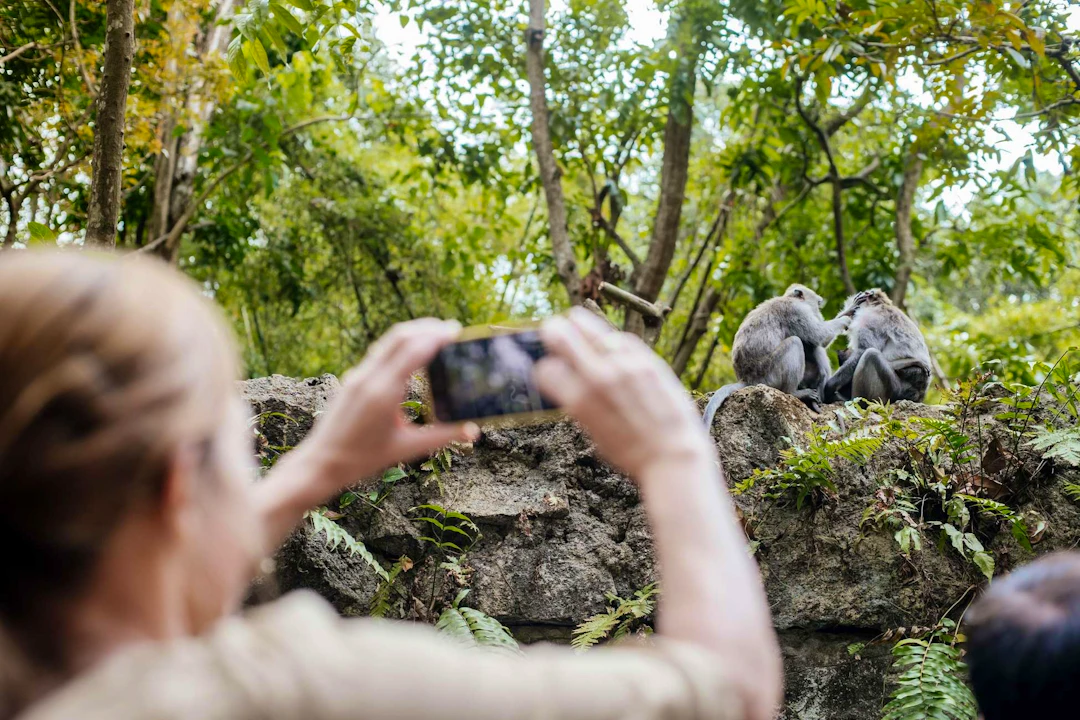 Sacred Monkey Forest Tour Ubud Ticket